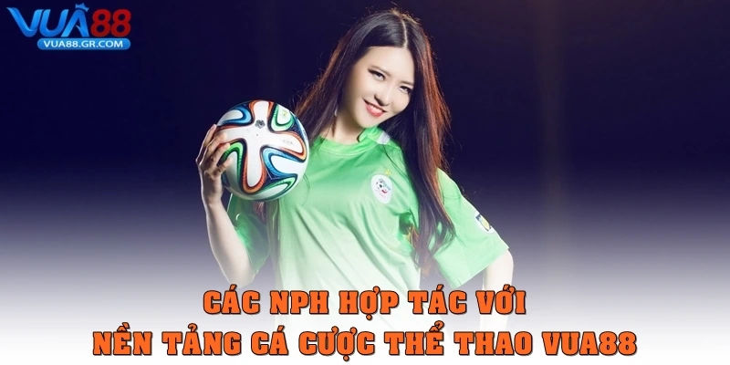 Các NPH hợp tác với nền tảng cá cược thể thao Vua88
