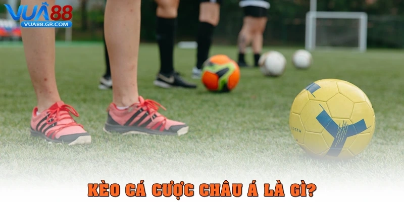 Kèo cá cược châu Á là gì?