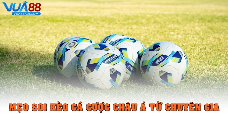 Mẹo soi kèo cá cược châu Á từ chuyên gia